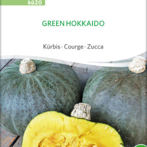 Græskar/Squash - Green Hokkaido- ØKO