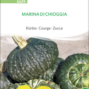 Græskar/Squash - Marina Di Chioggia- ØKO