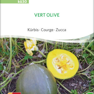 Græskar/Squash - Vert olive- ØKO
