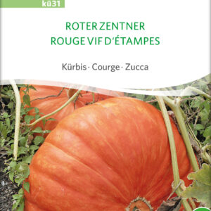 Græskar/Squash - Roter Zentner- ØKO