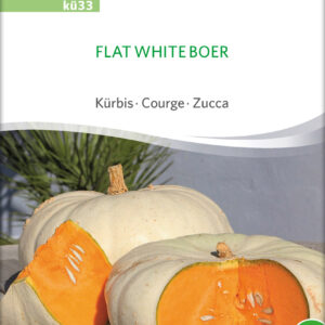 Græskar/Squash - Flat White Boer - ØKO