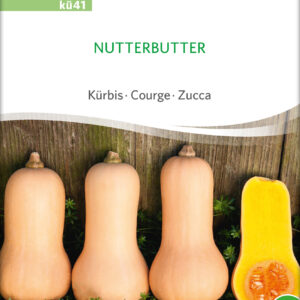 Græskar/Squash - Nutterbutter- ØKO