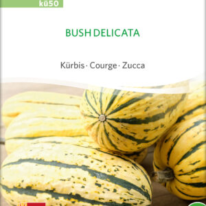 Græskar/Squash - Bush Delicata - ØKO