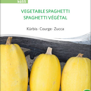 Græskar/Squash - Vegetable Spaghetti - ØKO