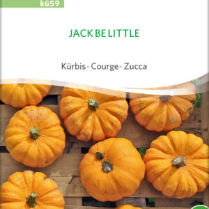 Græskar/Squash - Jack Be Little- ØKO