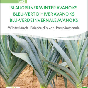 Porre - Blaugrüner Winter Avano Ks- ØKO