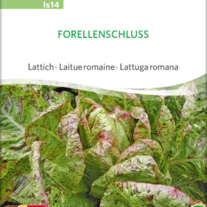 Salat - FORELLENSCHLUSS - ØKO