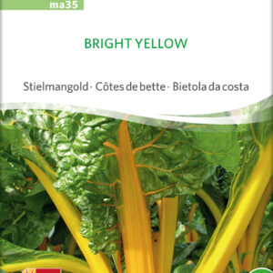 Bladbede - Bright Yellow - ØKO