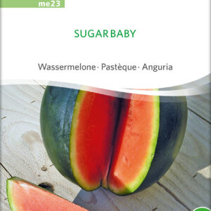 Melon - Sugar Baby - ØKO