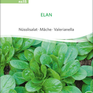 Salat - Elan - ØKO