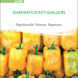 Peberfrugt - Quadrato D'asti Giallo Rs - ØKO