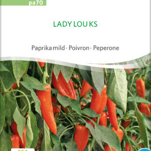 Peberfrugt - Lady Lou Ks - ØKO