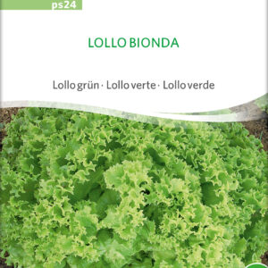 Salat - Lollo Bionda - ØKO