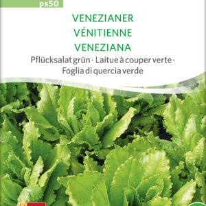Salat - Venezianer - ØKO