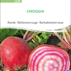 Rødbede - Chioggia - ØKO