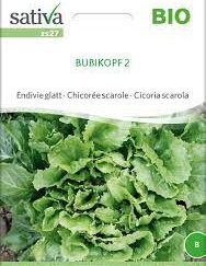 Salat Endivie - Bubikopf 2 - ØKO