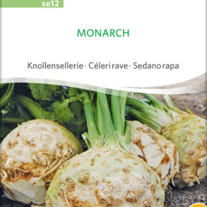Knoldselleri - Monarch - ØKO