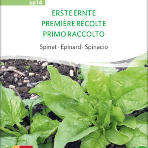 Spinat - FIRST HARVEST - ØKO