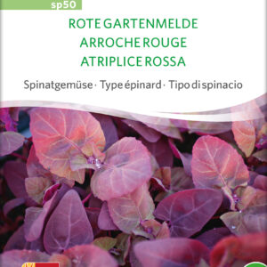 Spinat - RED ORACHE - ØKO