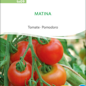 Tomat - MATINA - ØKO