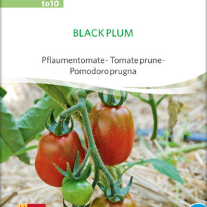 Tomat - BLACK PLUM - ØKO