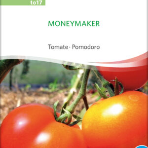 Tomat - MONEYMAKER- ØKO