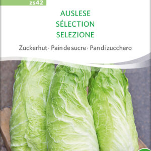 Salat - Selection - ØKO