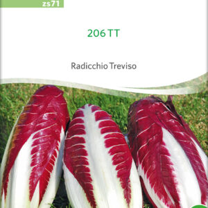 Salat - 206 TT - ØKO
