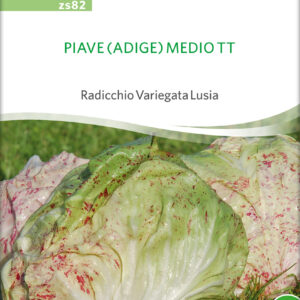 Salat - PIAVE MEDIO TT - ØKO