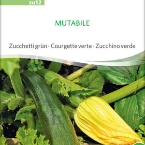 Squash - MUTABILE- ØKO