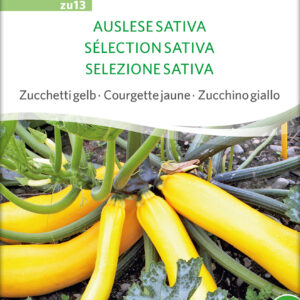 Squash - SELECTION SATIVA- ØKO