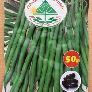 Bønne, Stang - rampicante Blue Lake Seme Nero (senza filo) - 50 gram