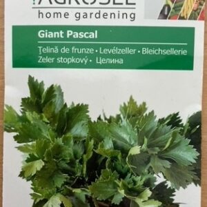 Bladselleri - Giant Pascal - PG2