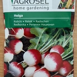 Radis - Helga
