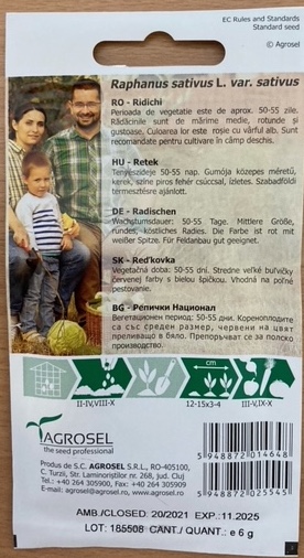 Radis - Helga - Billede 2