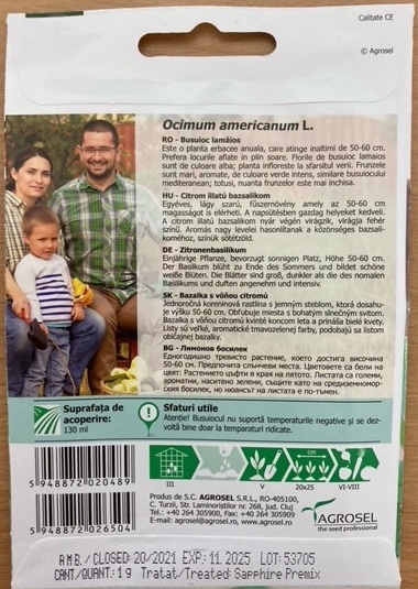 Basilikum - Lemon - Ocimum americanum l. - Billede 2