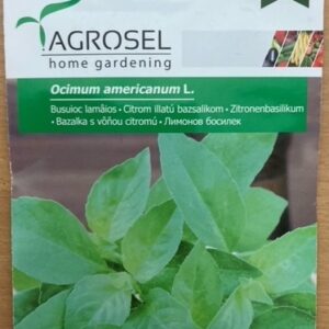 Basilikum - Lemon - Ocimum americanum l.