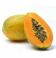 Carica papaya - Red Petiole