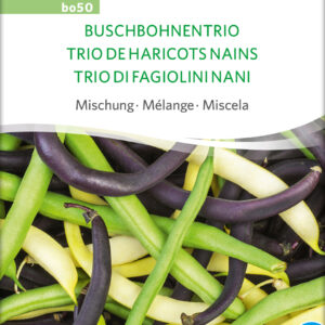 Buskbønne - Trio De Haricots Nains - ØKO