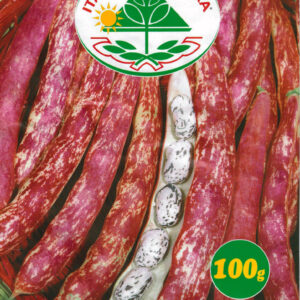 Bønne - Borlotto Lingua di Fucco Nano - 100 gram