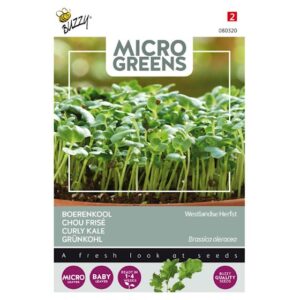 Micro Greens - Kål