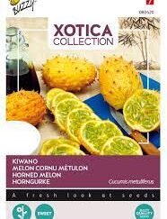 Horn melon - Kiwano