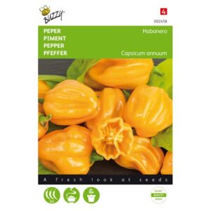 Habanero Orange - C. chinense