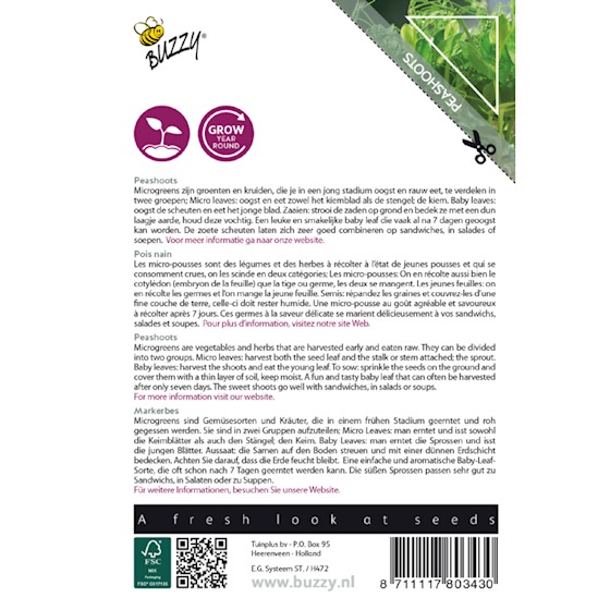 Micro Greens - Ært - Billede 3