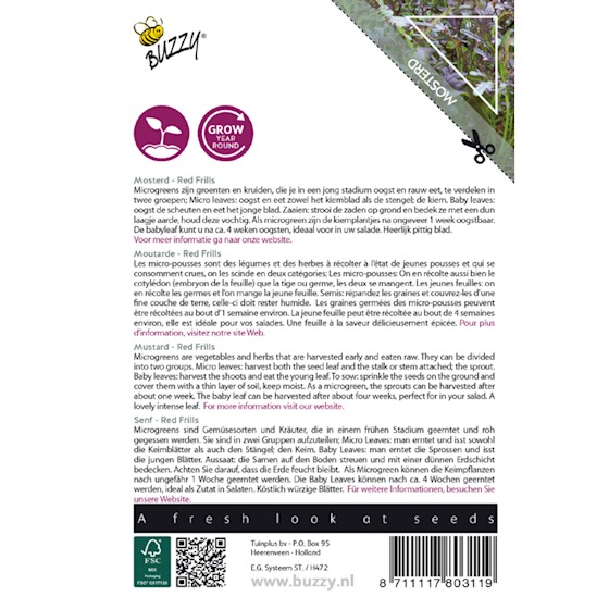 Micro Greens - Bladsennep Red Frills - Billede 2