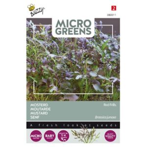 Micro Greens - Bladsennep Red Frills