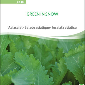 Vintersalat - Green In Snow - ØKO