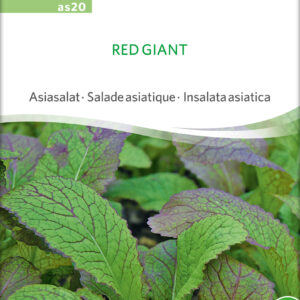 Bladsennep - Asiatisk - Red Giant - ØKO