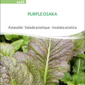Bladsennep - Purple Osaka - ØKO