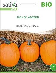 Græskar - Jack O'Lantern - ØKO
